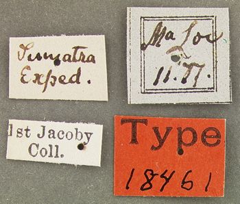 Media type: image;   Entomology 18461 Aspect: labels